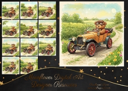 Teddy Car