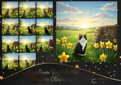 Spring Wall Cats 2
