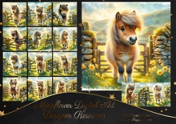 Spring Shetland Pony