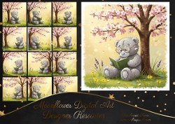 Reading Bear 2