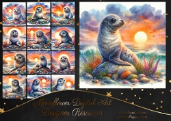 Sunrise Seals