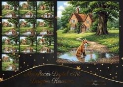 Garden Puddle Fox 2