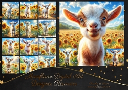 Sunflower Goats