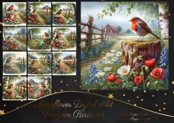 Countryside Robins