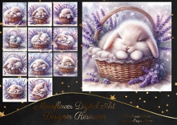 Lavender Bunnie
