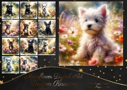 Sunny Morning Pups 11
