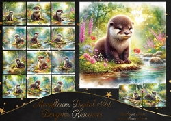 Spring Bank Otters