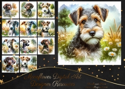 Daisy Pups 2