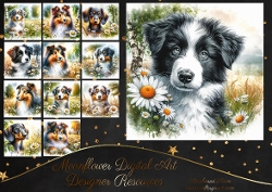 Daisy Pups 4
