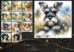 Daisy Pups 8