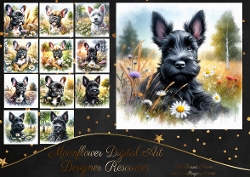 Daisy Pups 11