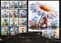 Daisy Rain 