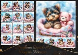 Sweet Yorkie