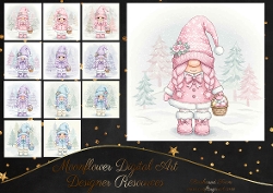 Cute Winter Gnomie