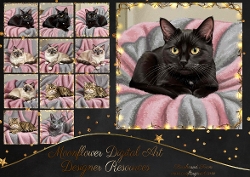 Kitty Blanket 3