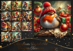 Little Robin 1