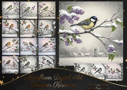 Winter Birds