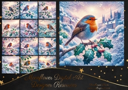 Christmas Robin