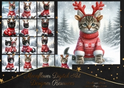 Snow Cats 1