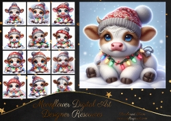 Festive Calfs