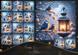Winter Birds