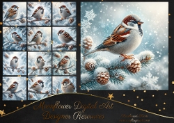 Winter Sparrow