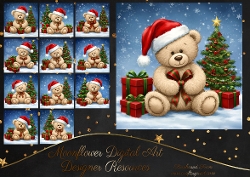 Cute Christmas Teddy 2