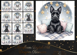 Starry Cushion Pups 12