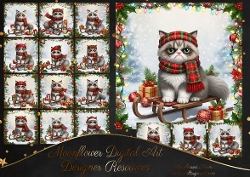 Festive Grumpy Cats