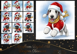 Dashing through the snow 14