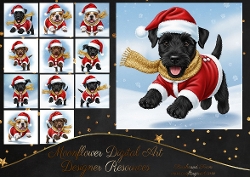 Dashing through the snow 17