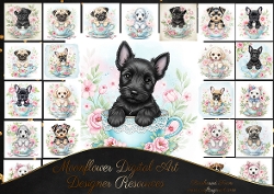 Sweet Teacup Pups 5