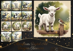 Baby Goat