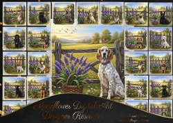 Lavender Garden 3