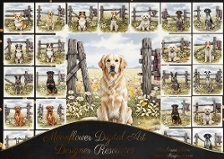 Countryside Dogs 2