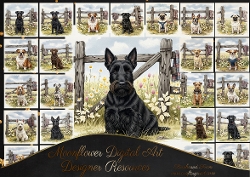 Countryside Dogs 5