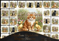 Hello Ducky Cats 2