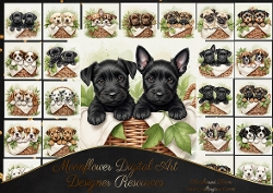 Puppy Basket 4