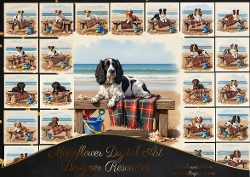 Beach bench 3