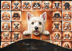 Just another dog on the wall 3