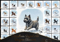 Dashing through the snow 1