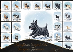 Dashing through the snow 5