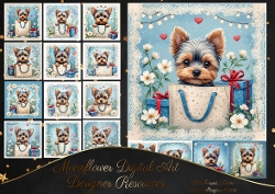 Yorkie pups