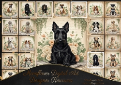 Soft Paws, Timeless Grace 4