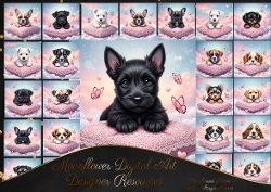 Lacy cushion pups 3
