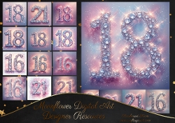 Glitter Sparkle numbers 16/18/21