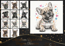 French bulldog pups