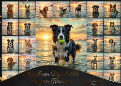 Fetch 2