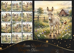 Donkey
