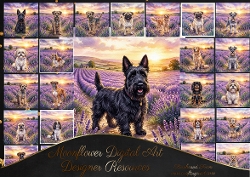 Lavender sunset 4